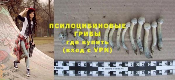 соль курить ск Алзамай